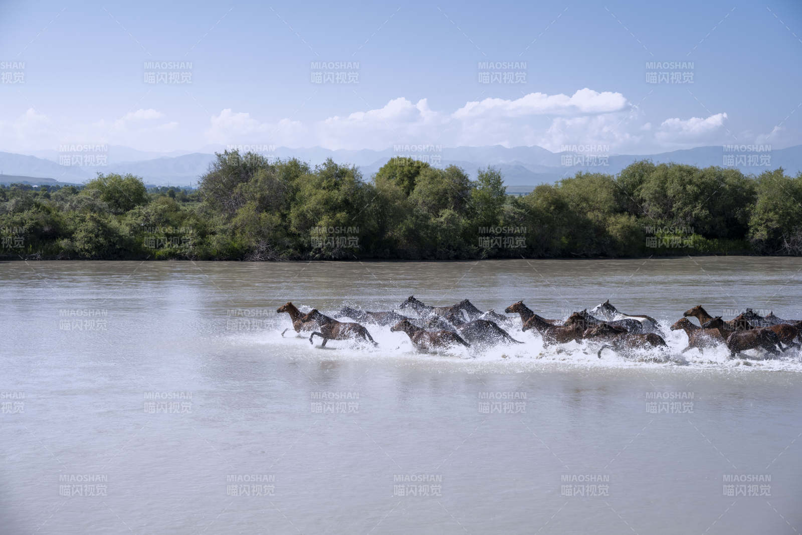 群马奔腾过河图片