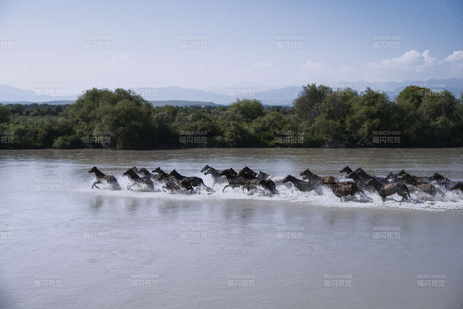 群马奔腾过河图片