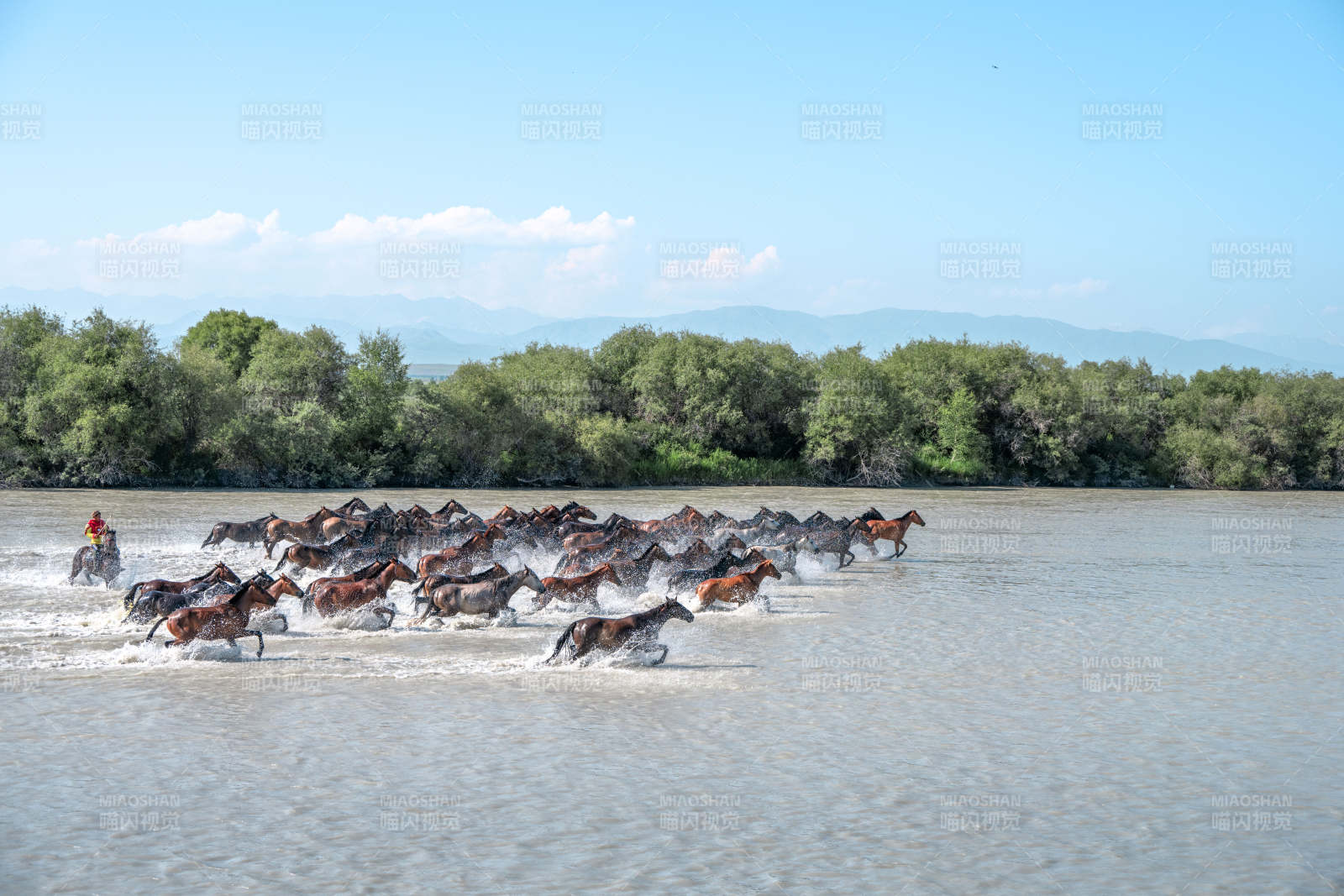 马群涉水奔腾图片