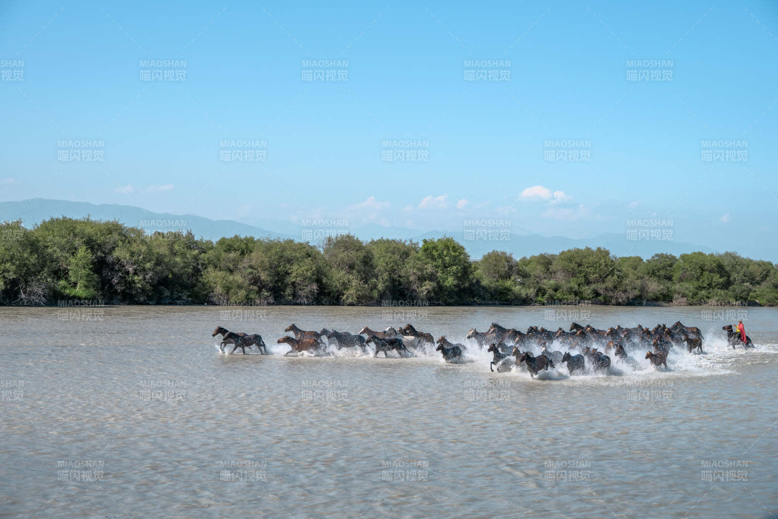 马群奔腾过河图片