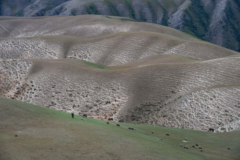 山间牧马图图片