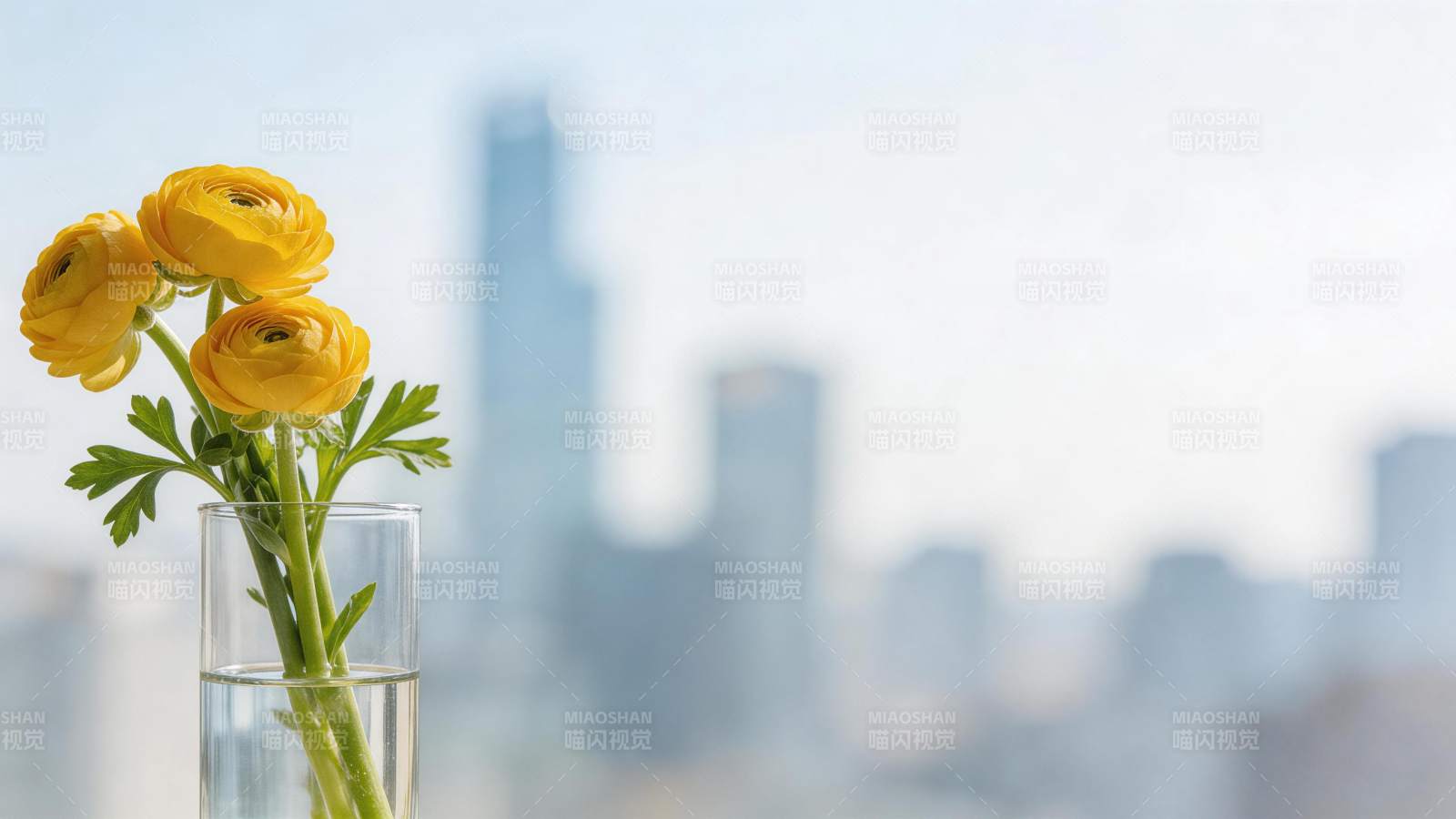 黄色花朵插在玻璃杯中背景为城市高楼图片