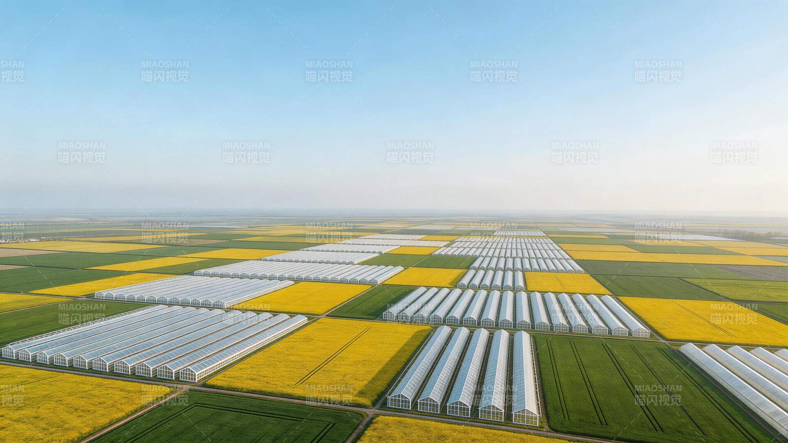 大片农田与整齐排列的温室大棚航拍景观图片