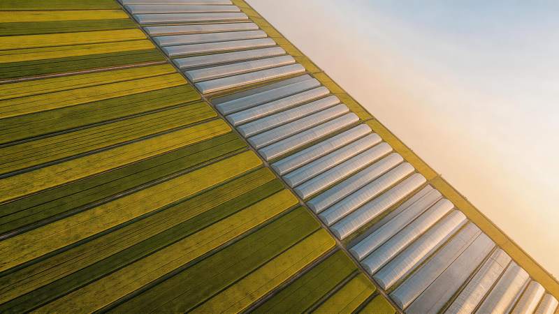 农田与温室大棚交错排列的航拍景观图片