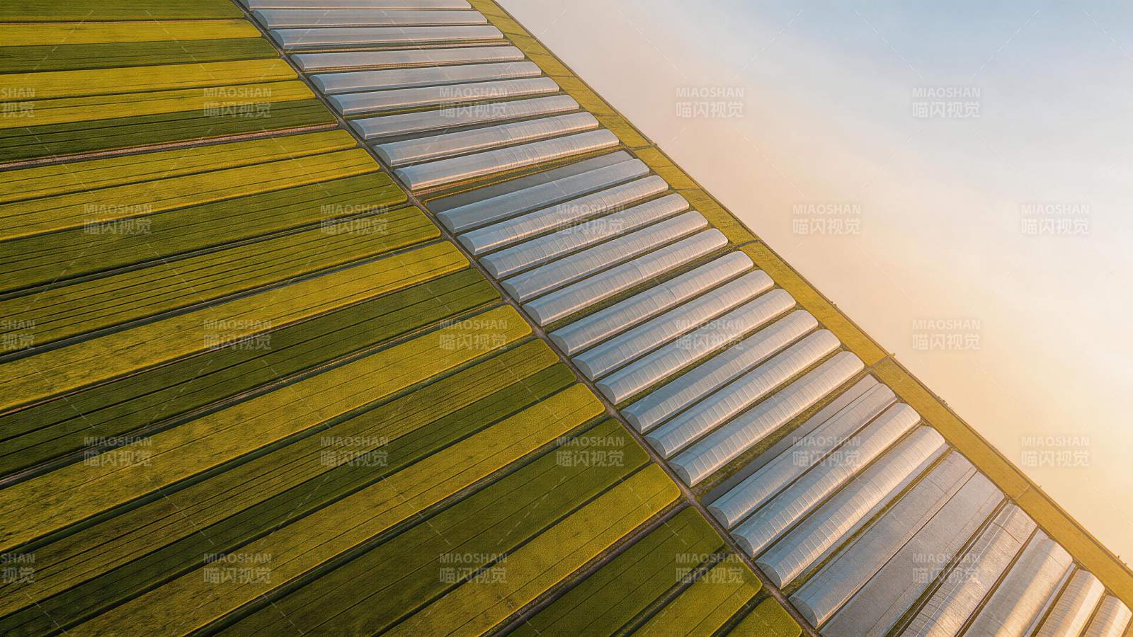 农田与温室大棚交错排列的航拍景观图片