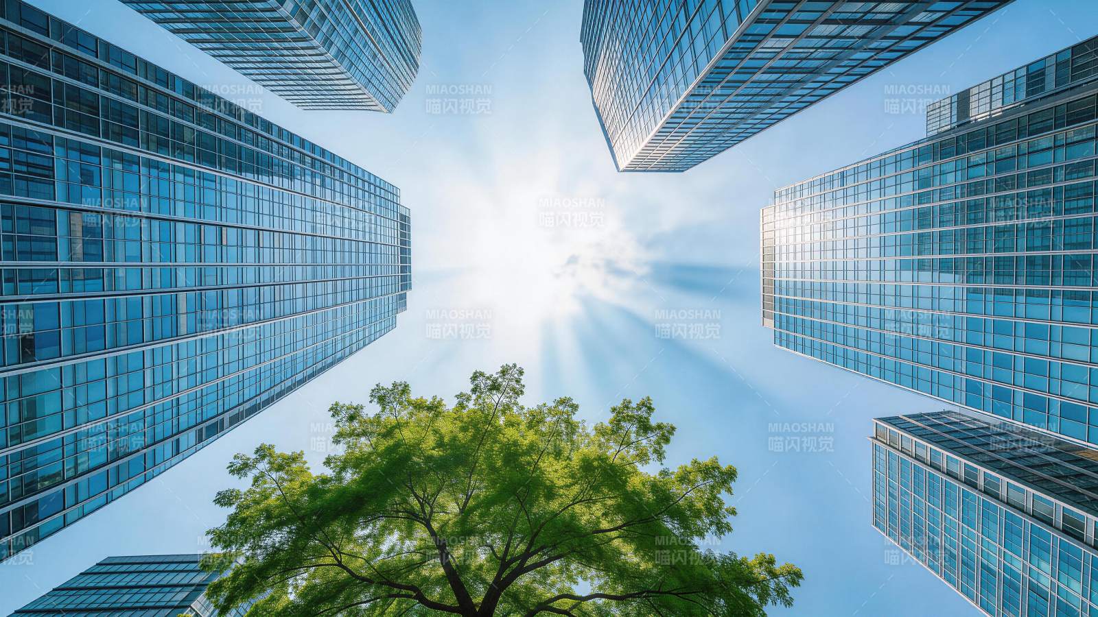 仰视高楼环绕中的绿树与晴空图片