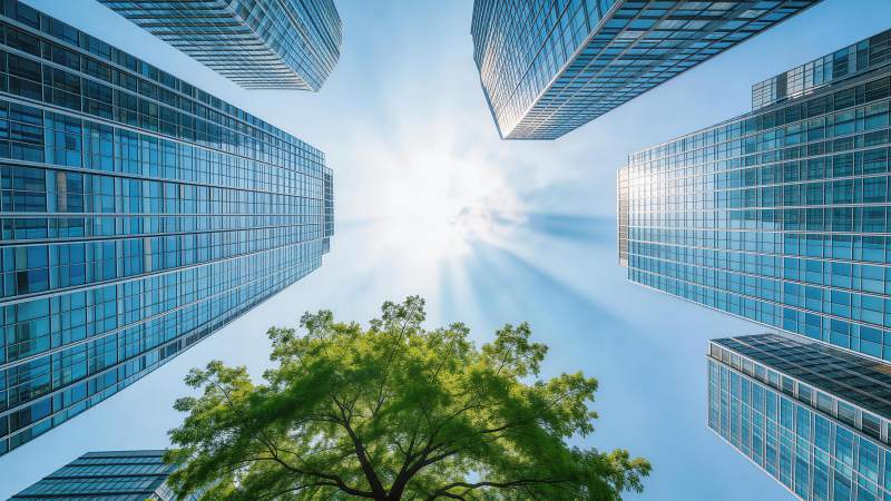 仰视高楼环绕中的绿树与晴空图片