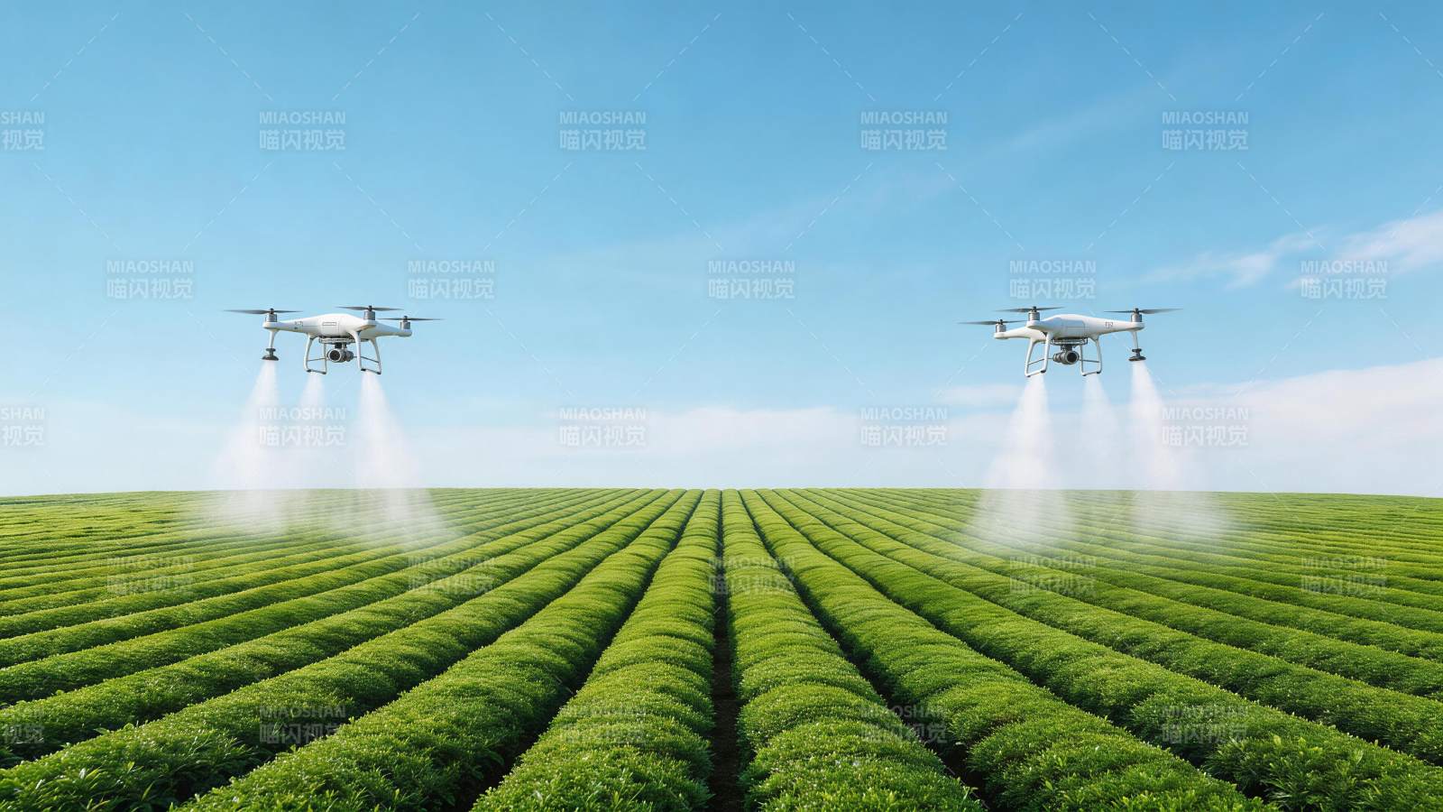 两架无人机在整齐茶园上空喷洒作业图片