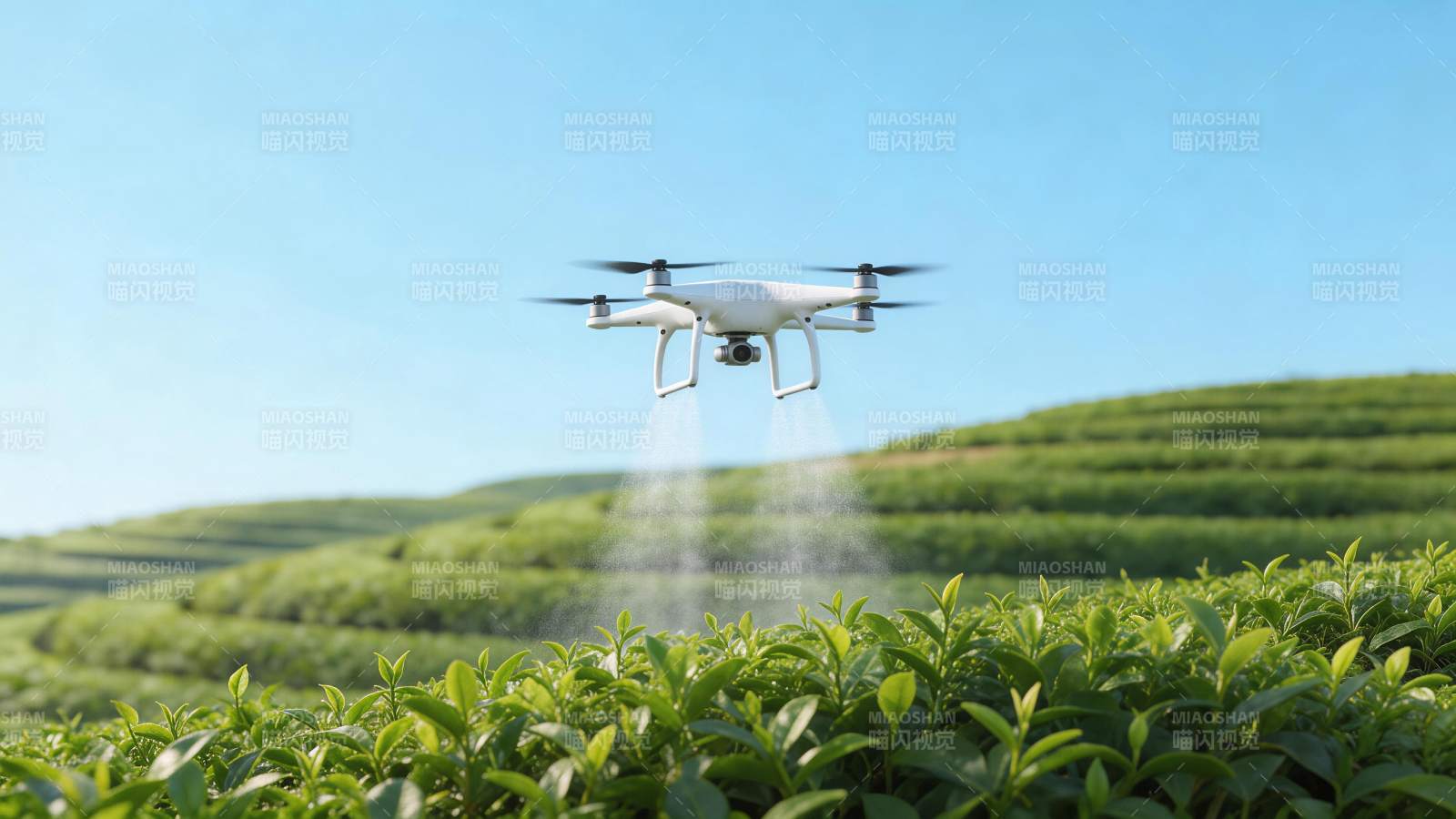 无人机在茶园上空喷洒作业图片