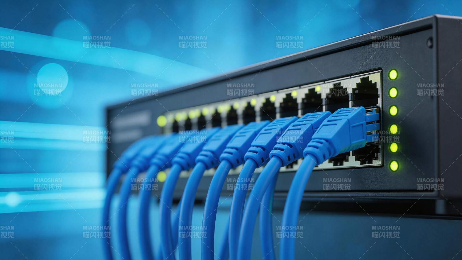 蓝色网线接入网络交换机端口特写图片