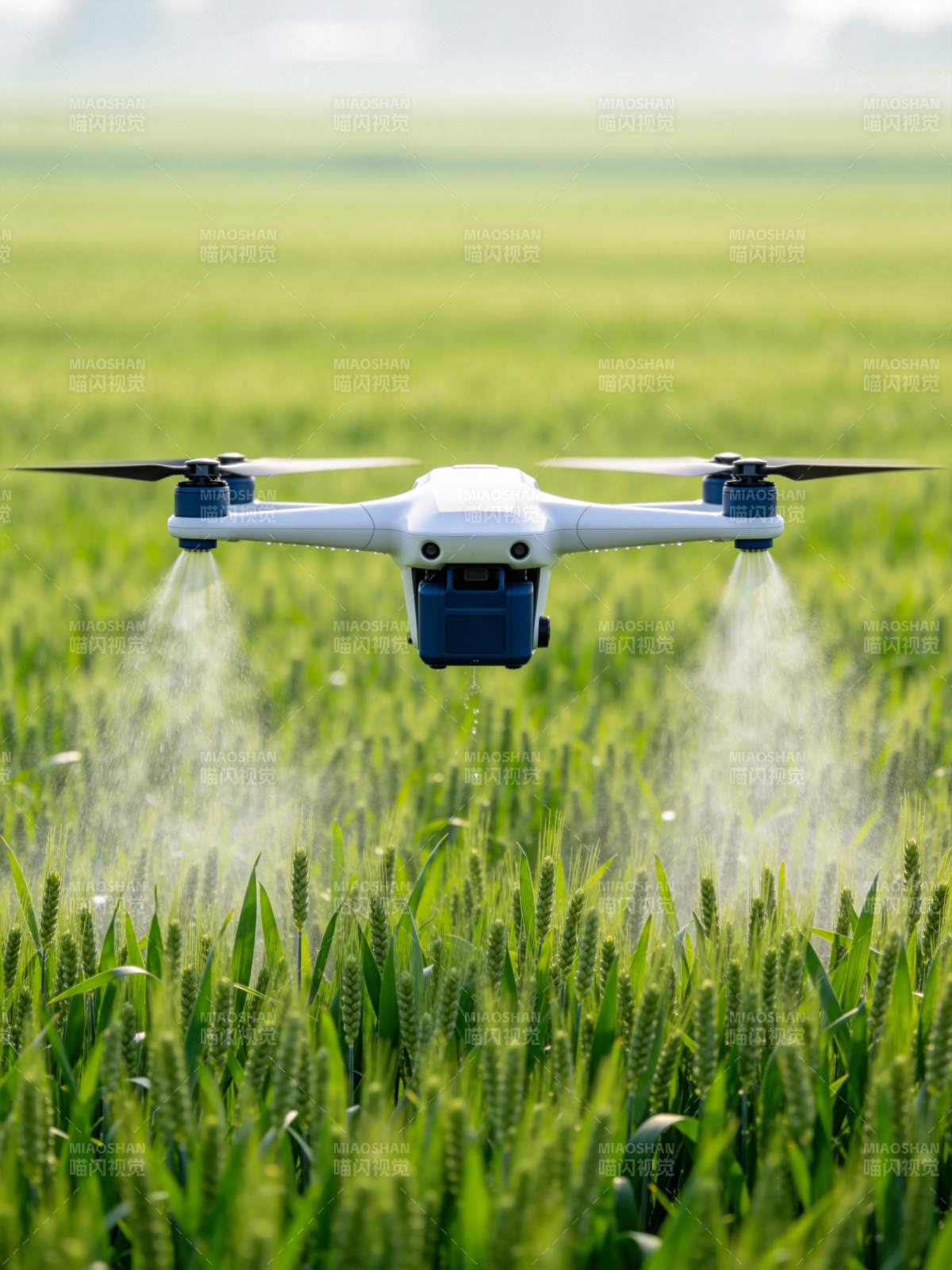 农业无人机在麦田上空喷洒作业图片