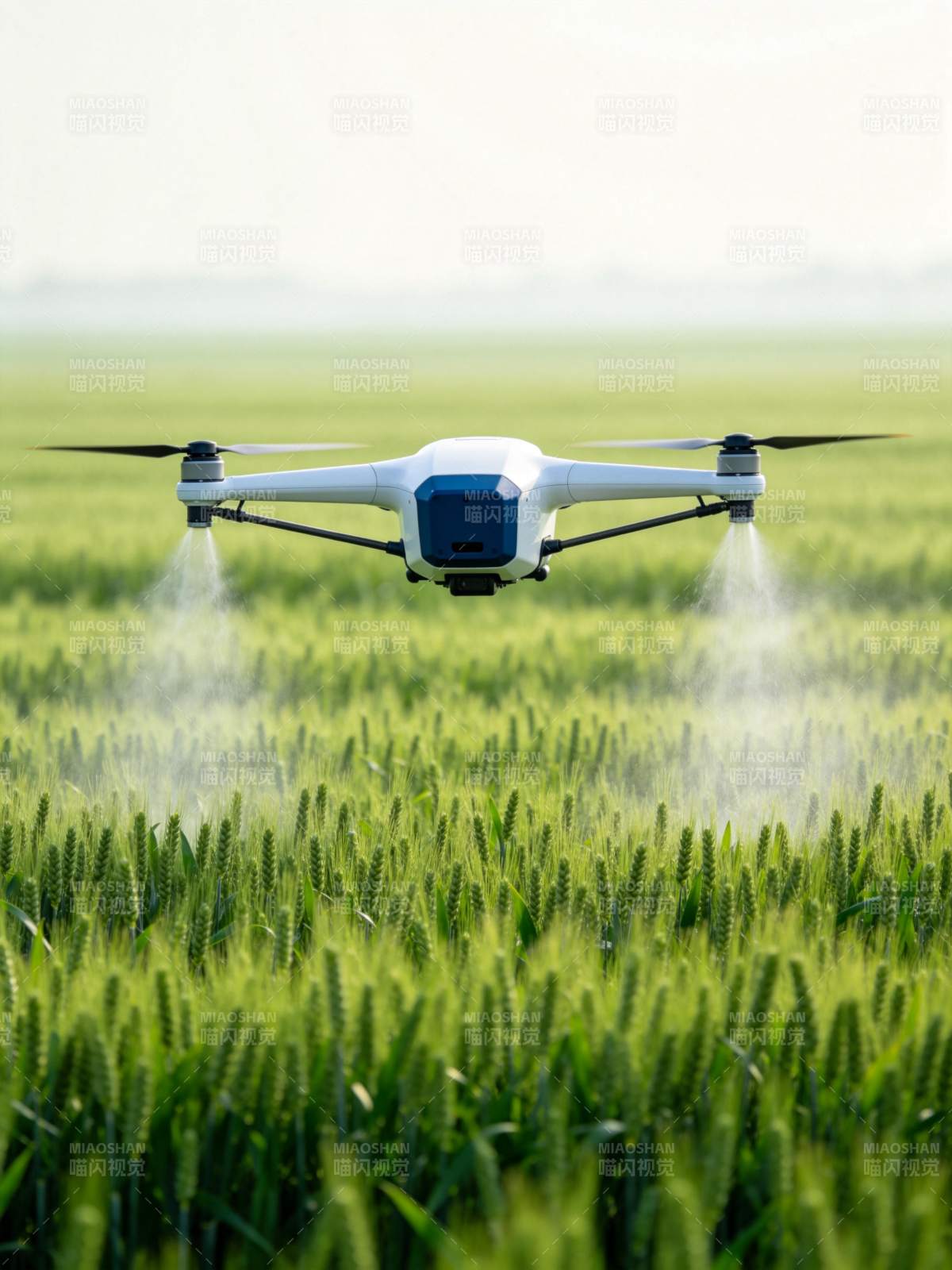 农业无人机在麦田低空喷洒作业图片