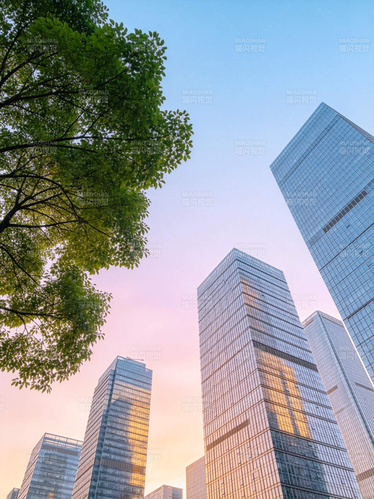 城市高楼群与绿树在黄昏天空下的仰拍景象图片