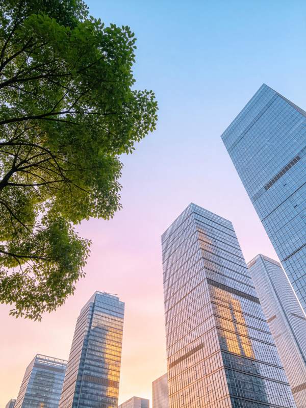 城市高楼群与绿树在黄昏天空下的仰拍景象图片