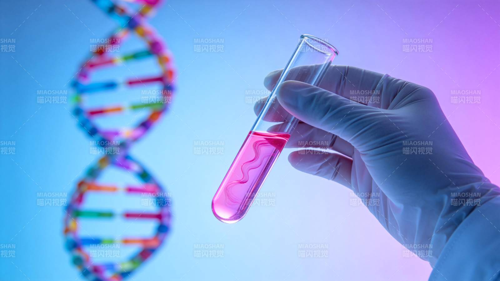 戴手套手持装有粉色液体的试管与DNA双螺图片
