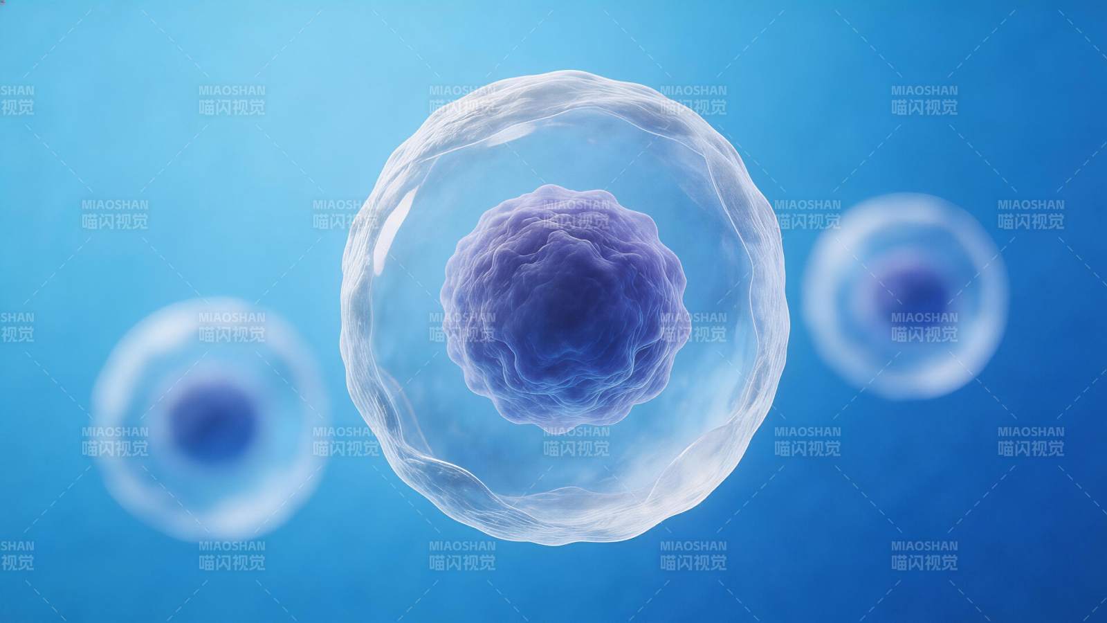 显微镜下细胞结构三维示意图图片