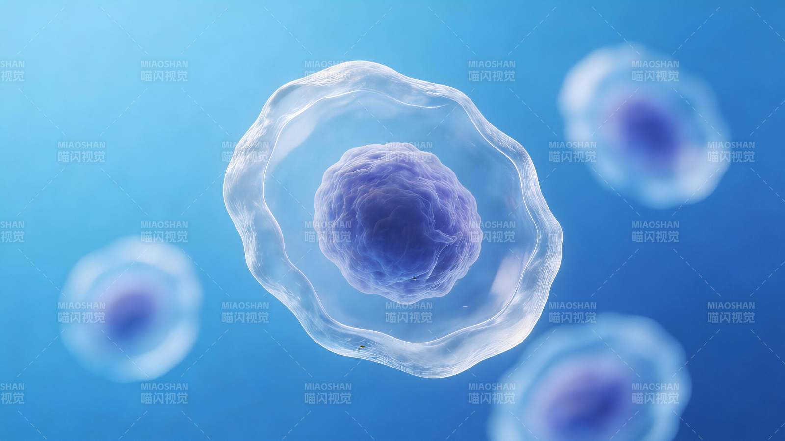 显微镜下细胞结构高清三维图像展示图片