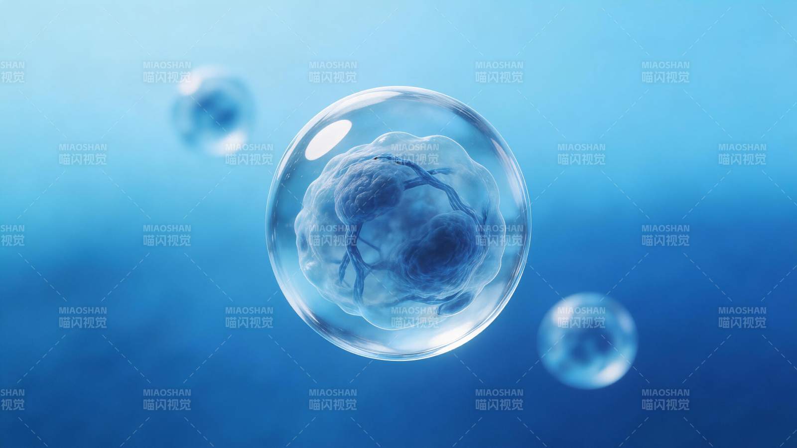 透明液泡包裹蓝色细胞结构显微图像图片