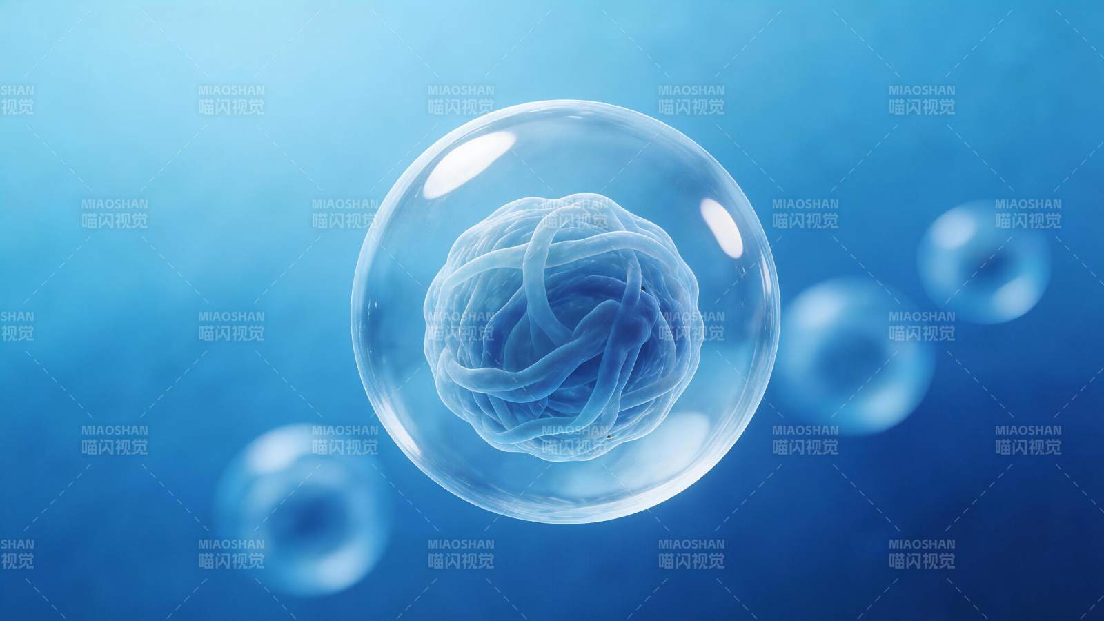 透明球体内螺旋状结构的微观图像图片