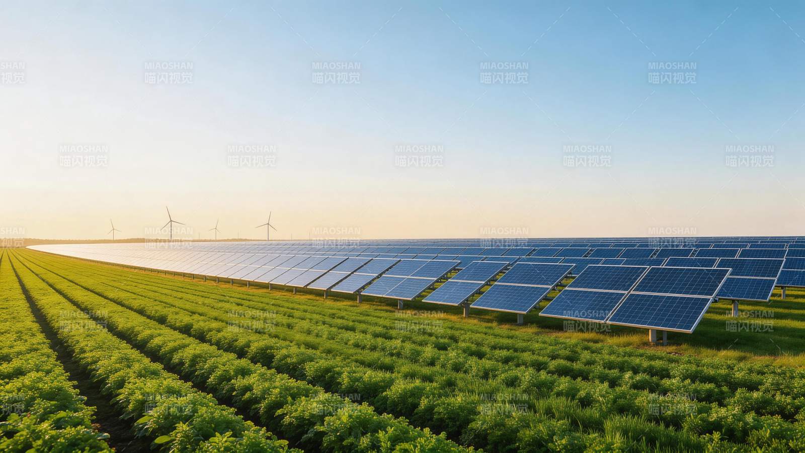 光伏板阵列与农田并置的清洁能源景观图片