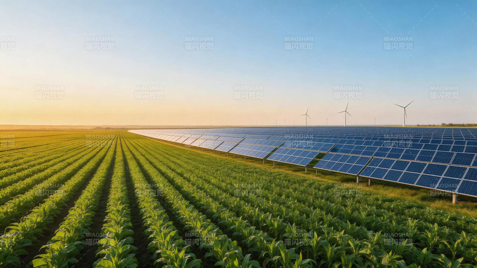 农田旁排列整齐的太阳能电池板与风力发电机图片
