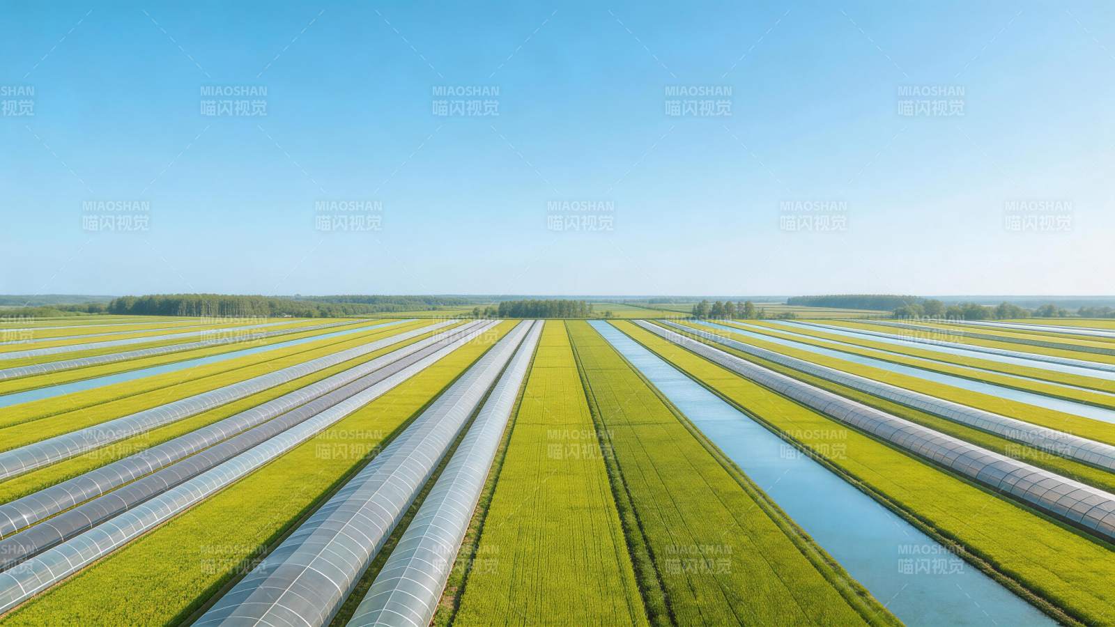 整齐排列的农田温室与水渠航拍景观图片