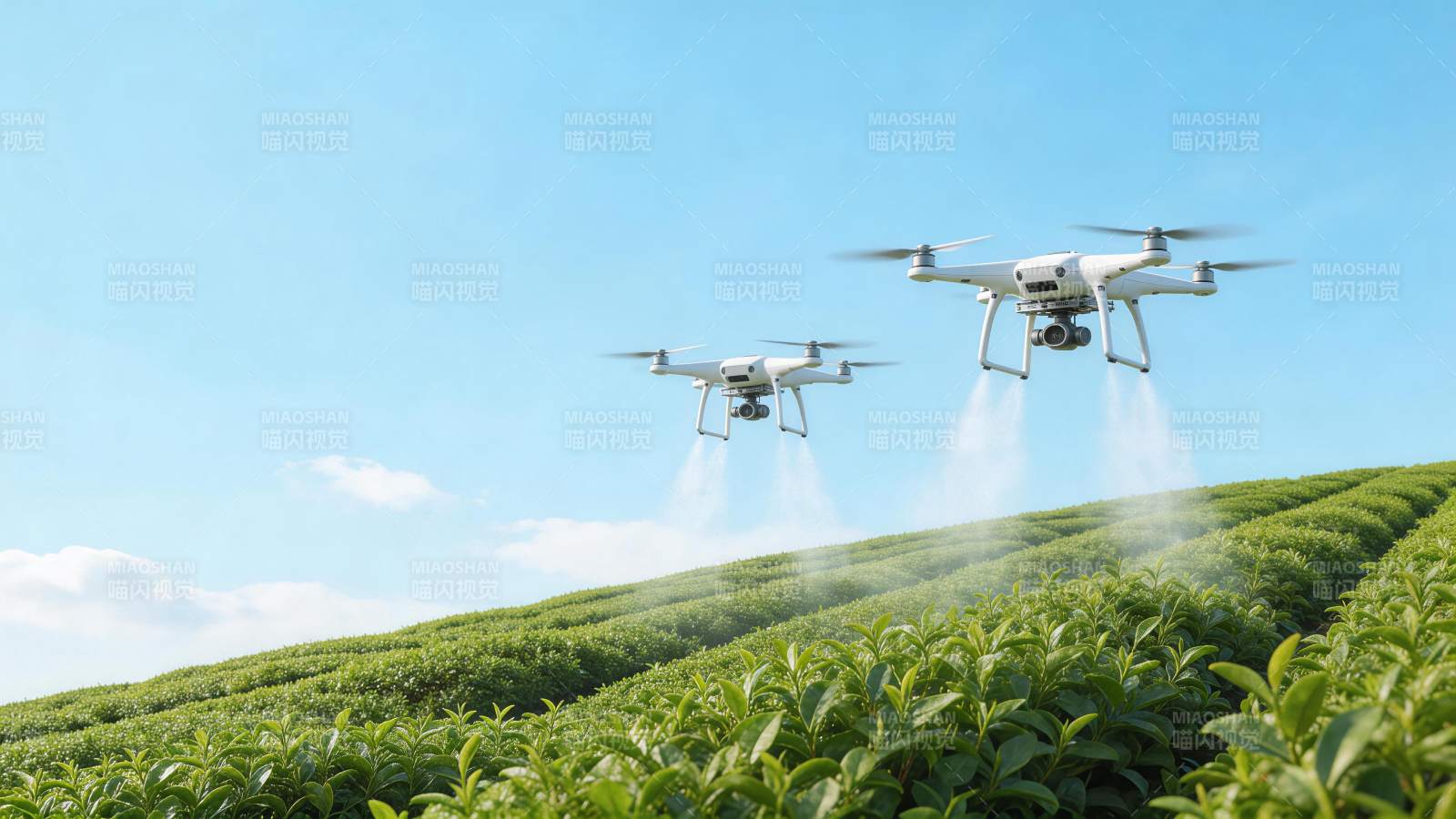 两架无人机在茶园上空喷洒作业图片