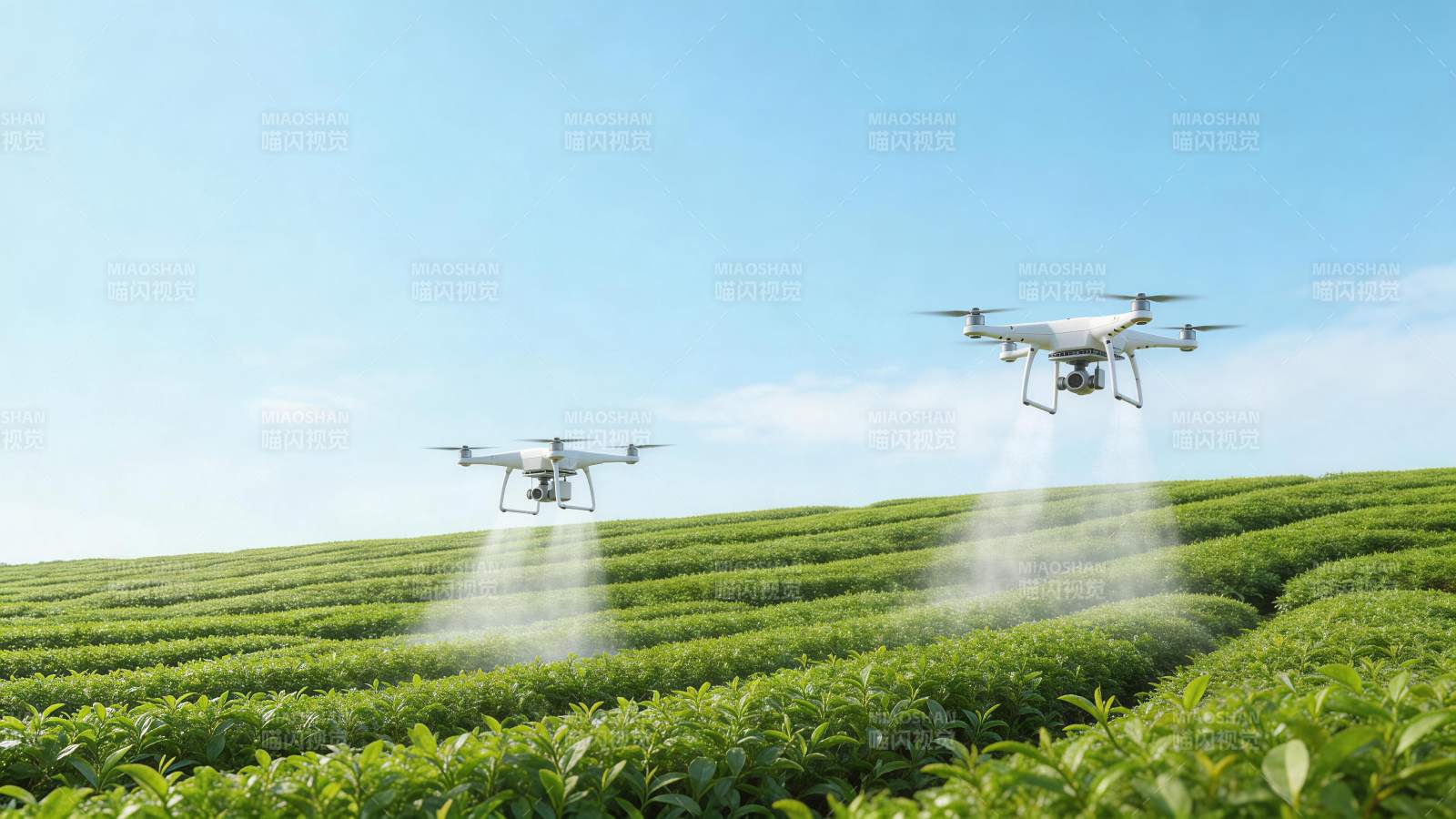 两架无人机在茶园上空喷洒作业图片