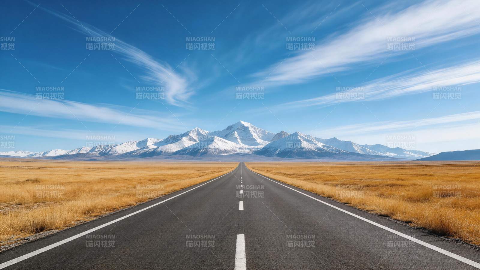 笔直公路延伸至雪山脚下辽阔草原图片