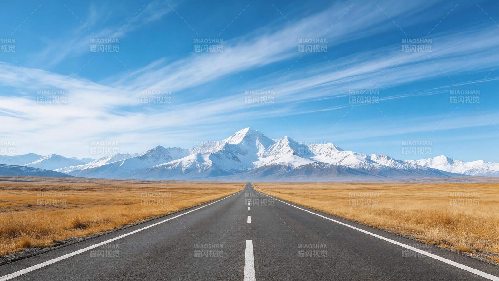 笔直公路延伸至雪山脚下辽阔草原图片