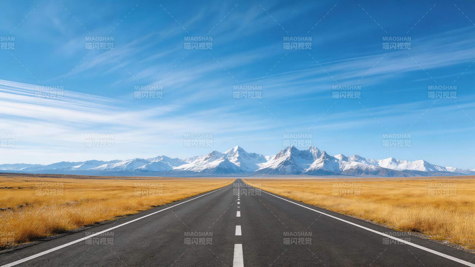 笔直公路延伸至雪山脚下金黄草原图片