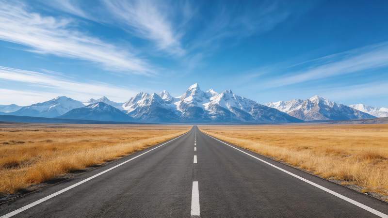 笔直公路延伸至雪山脚下广阔草原图片