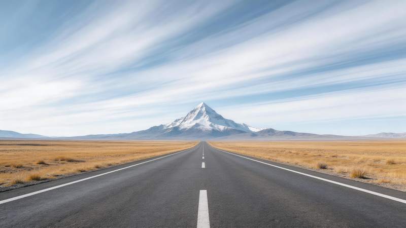 笔直公路延伸至雪山脚下荒原景观图片