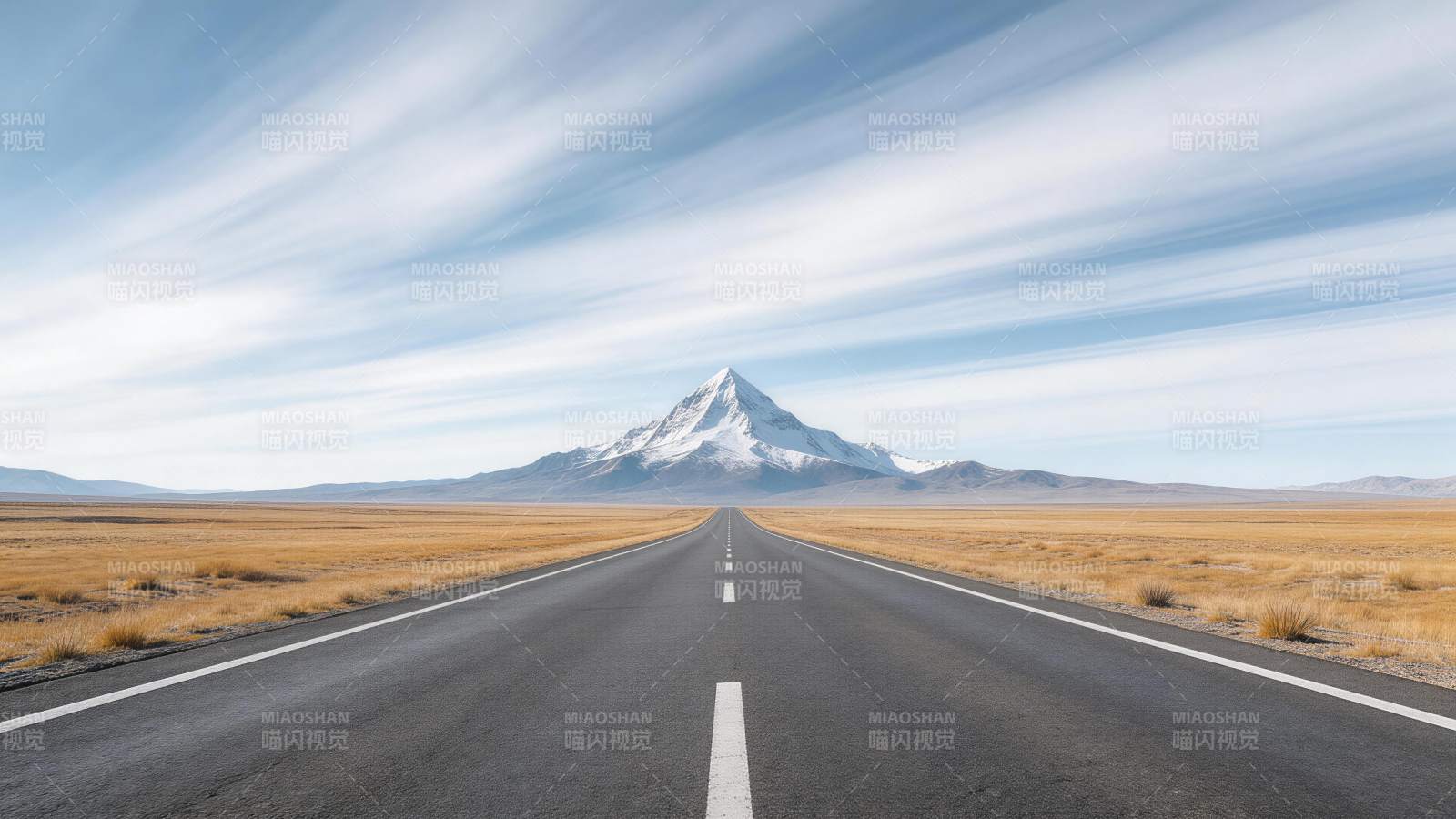 笔直公路延伸至雪山脚下荒原景观图片