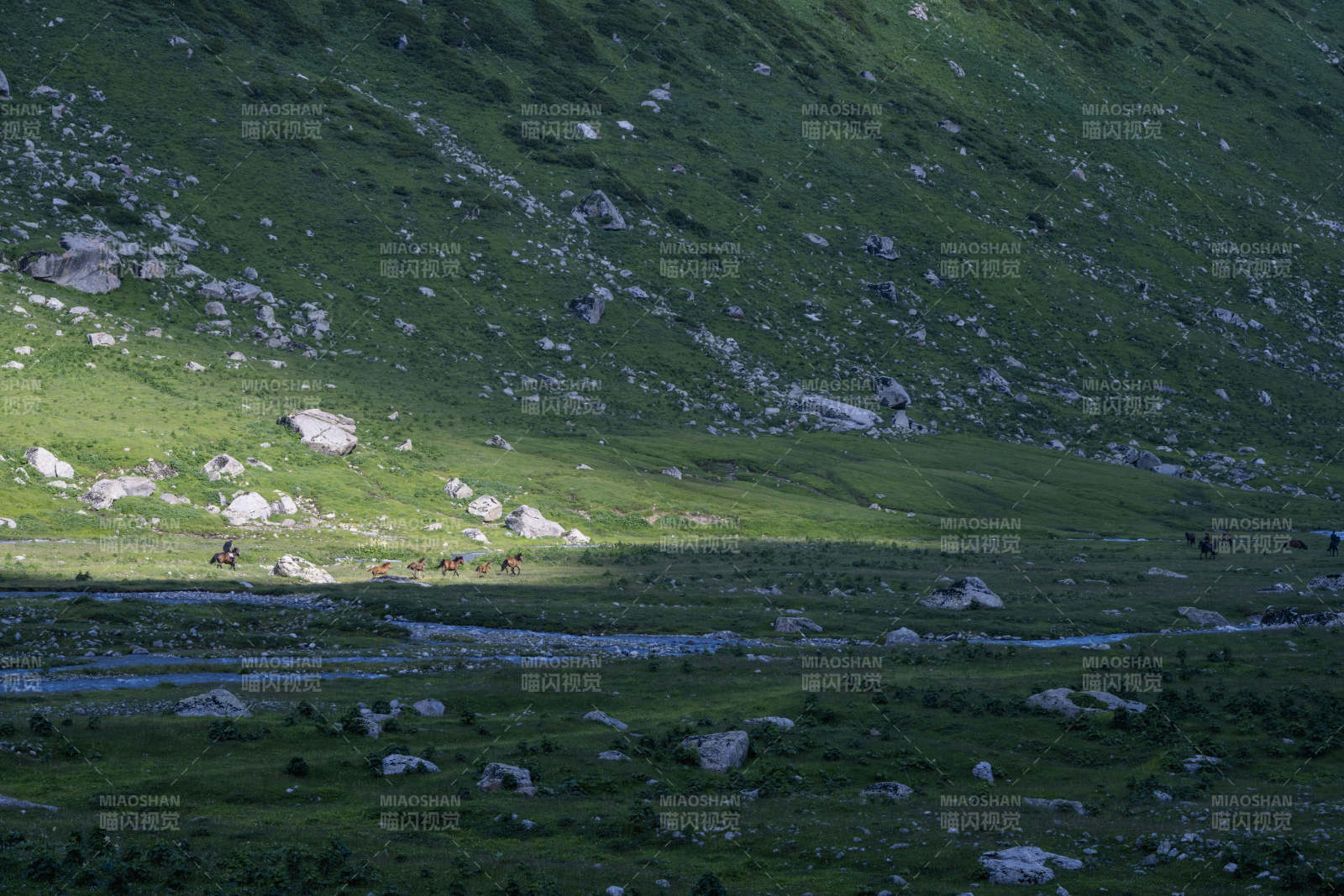 新疆伊犁孟克特古道山坡溪流牧马图片