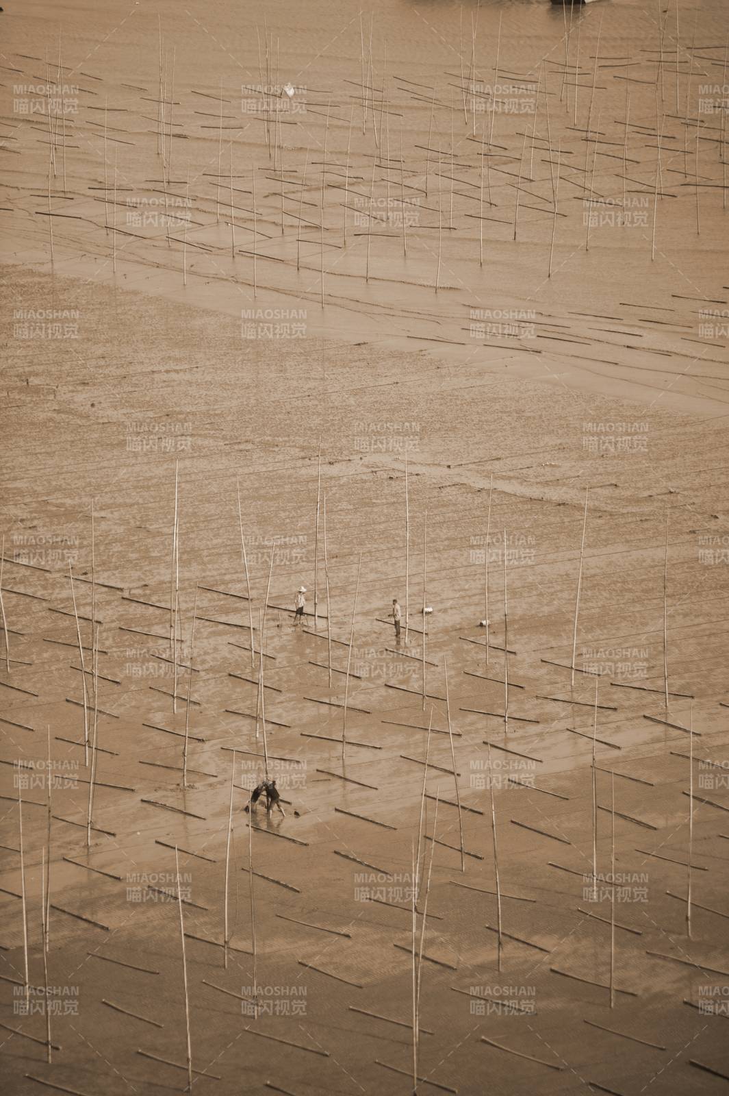 滩涂劳作图图片