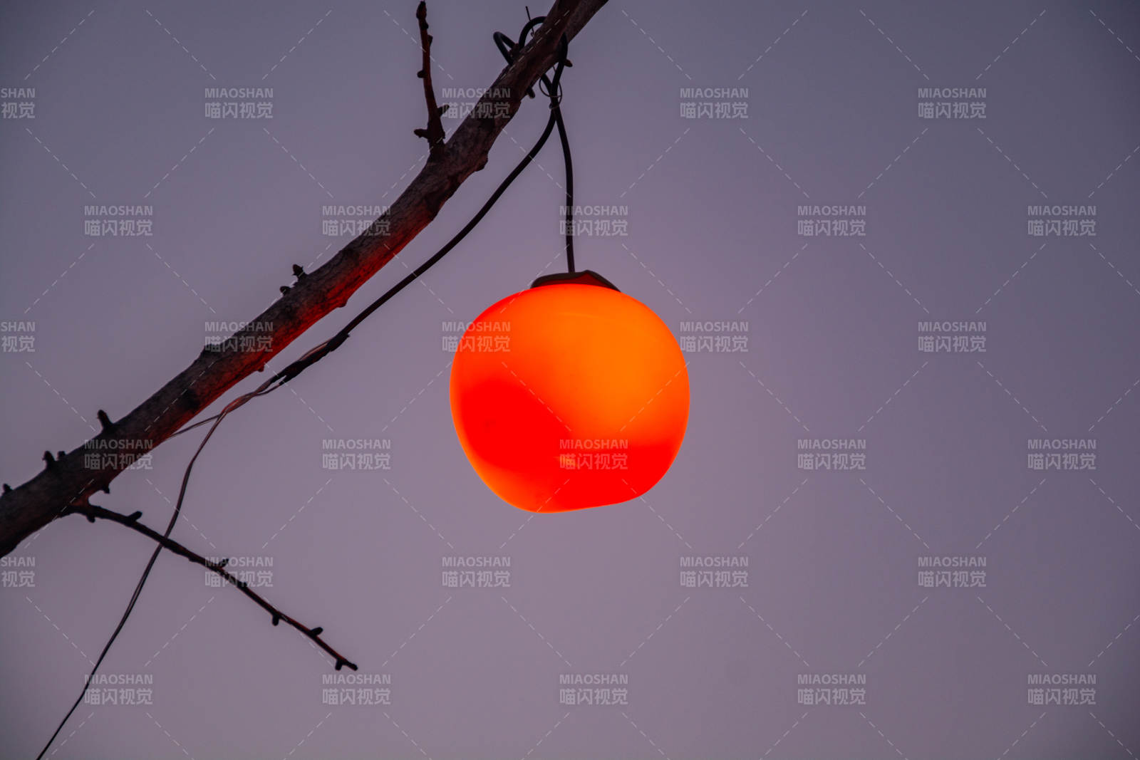 枝头红灯映暮色图片