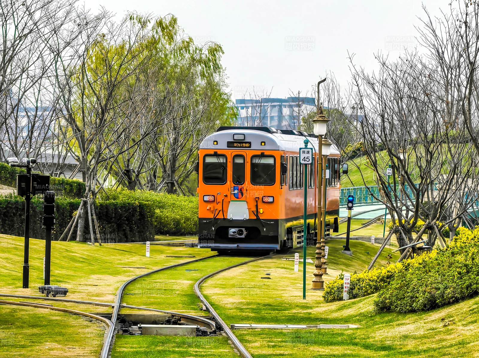 橙色电车穿行绿园图片