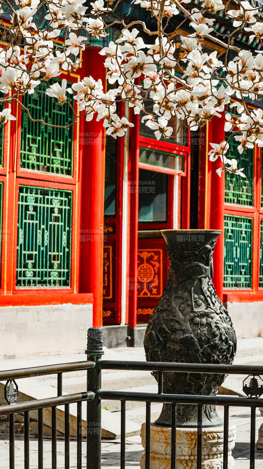 春日古韵花影图片