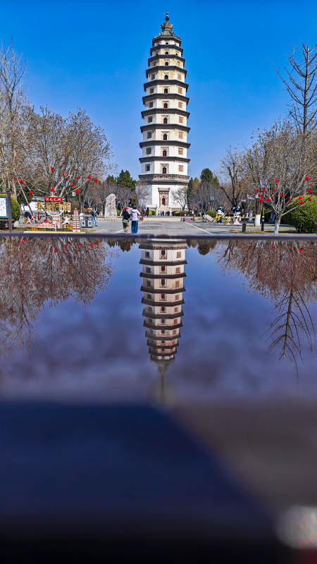 塔影映水 春色宜人图片