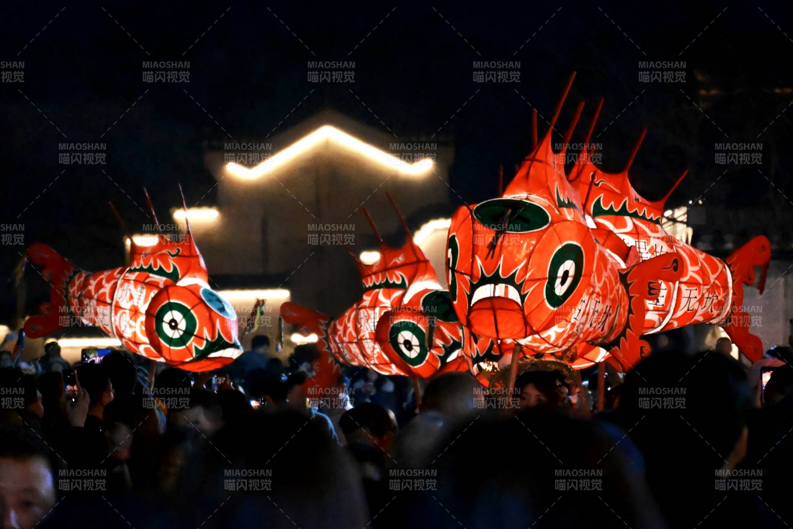 鱼灯夜游盛会图片