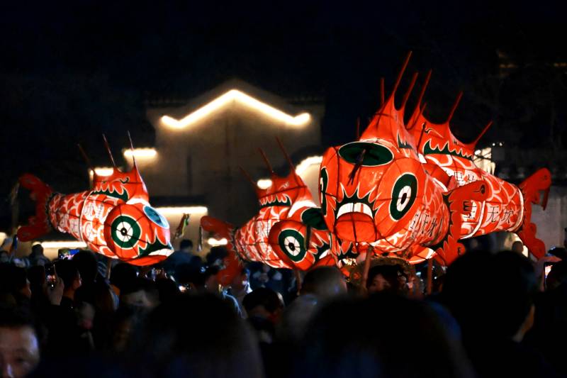 鱼灯夜游盛会图片