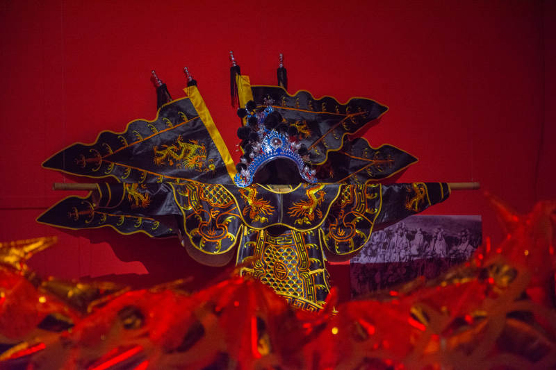 华丽盔甲展翼图片