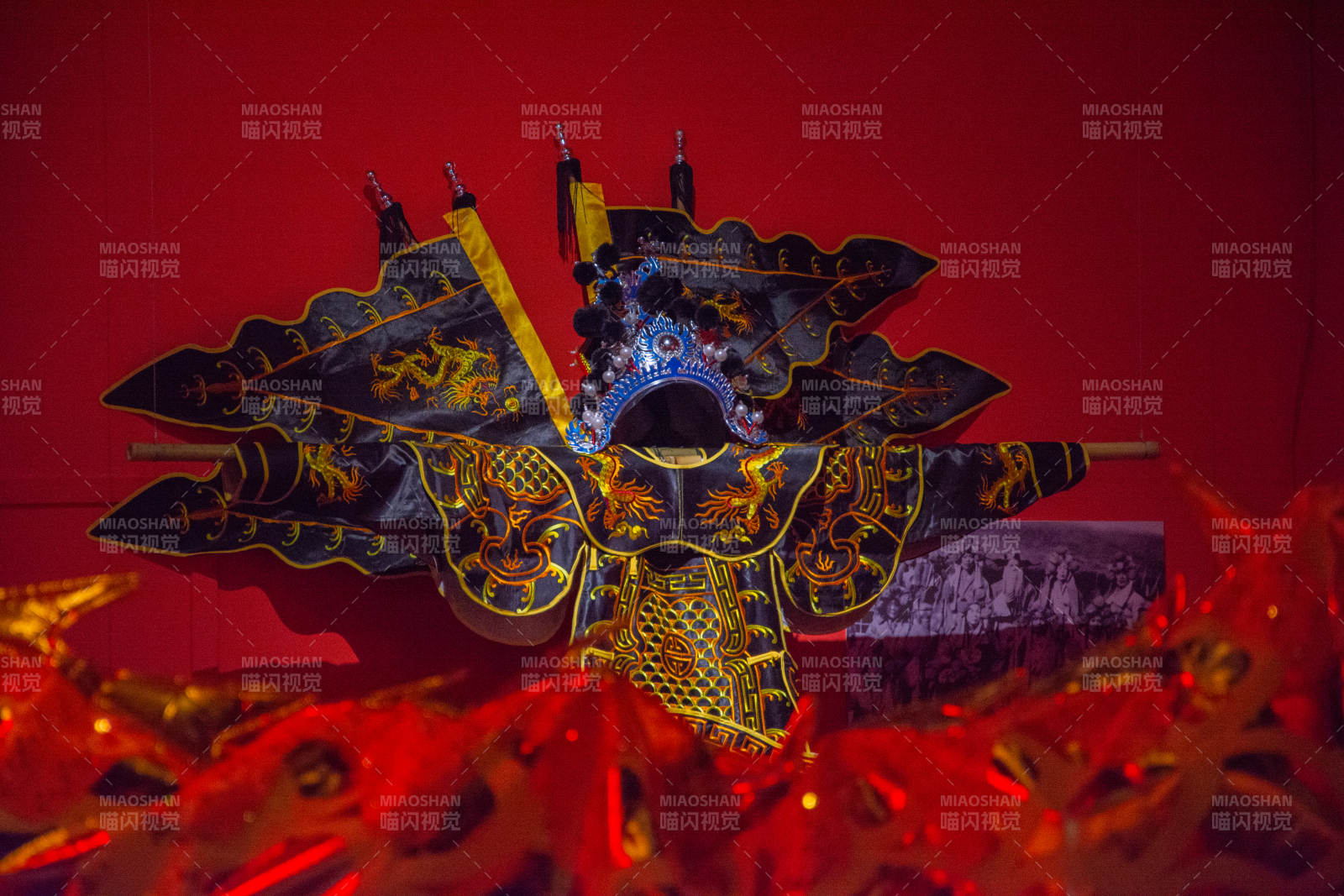 华丽盔甲展翼图片