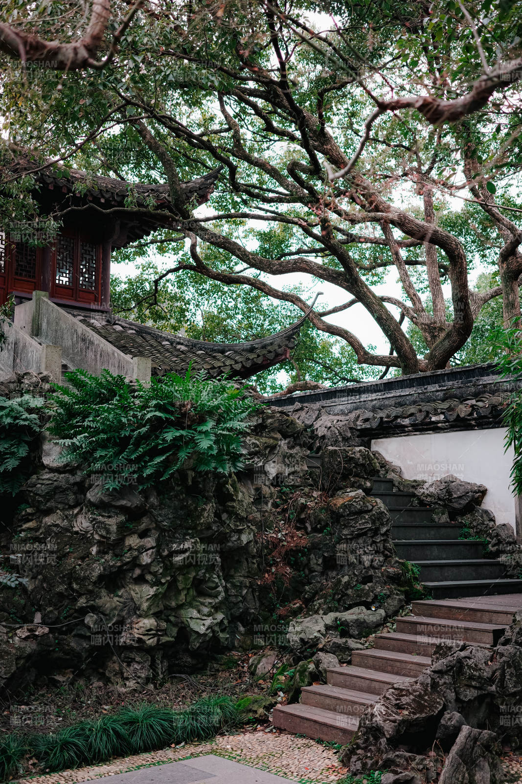 曲院风荷 古园幽径图片