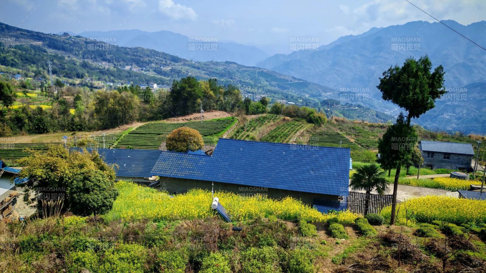 农田里的蓝色房屋图片