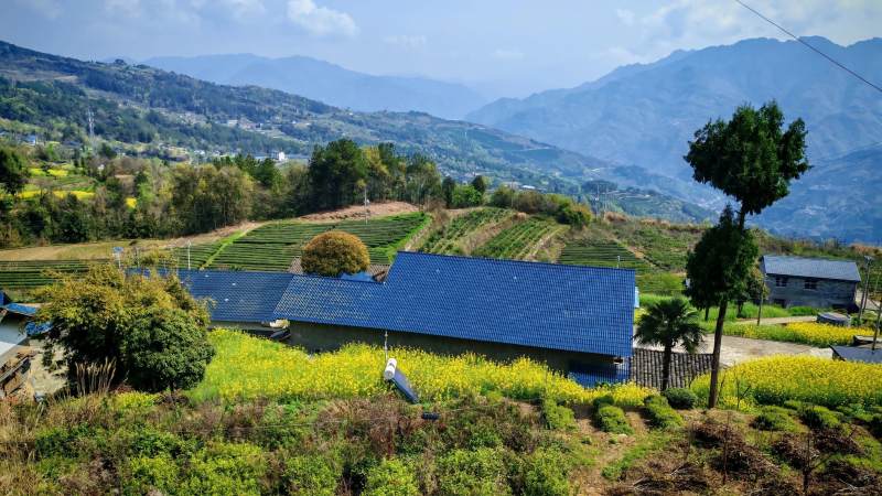 农田里的蓝色房屋图片