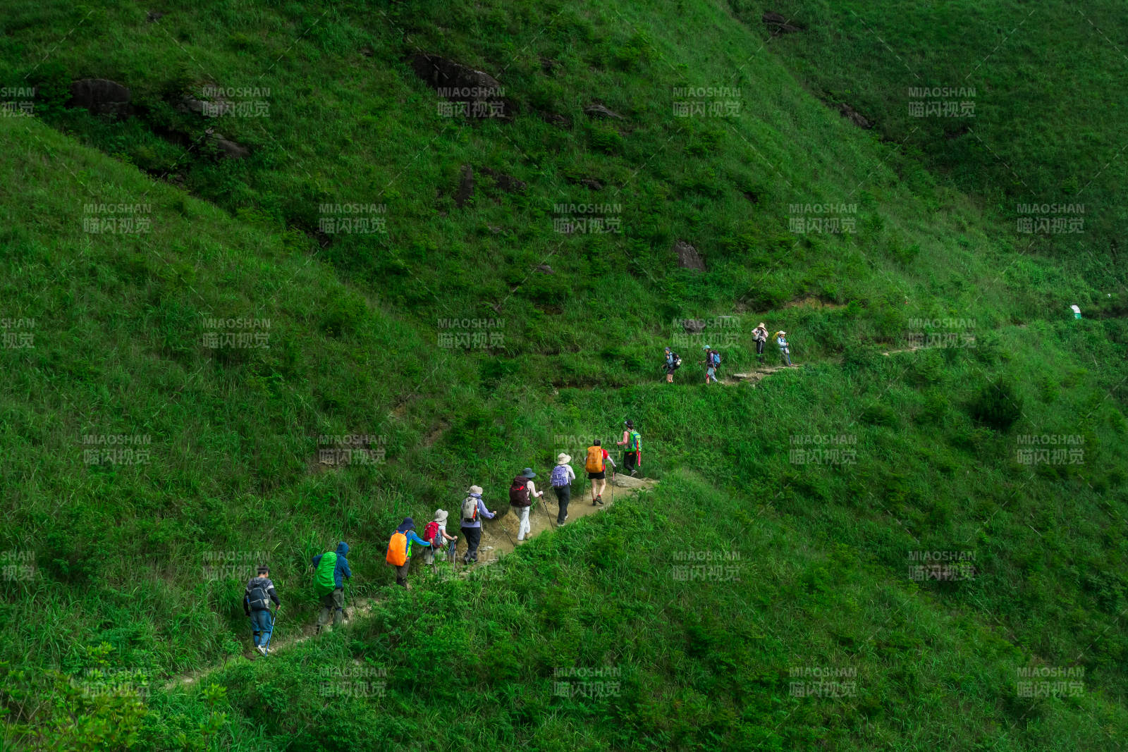 徒步绿野山径图片