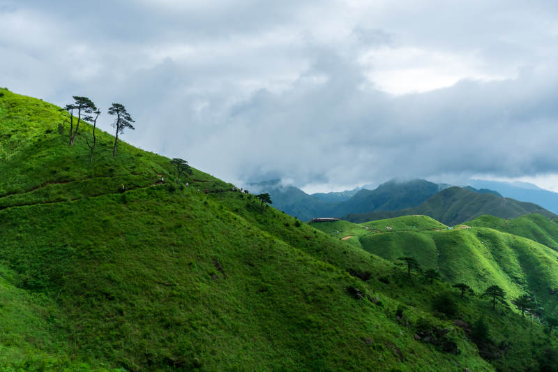 青山云海 绿意盎然图片