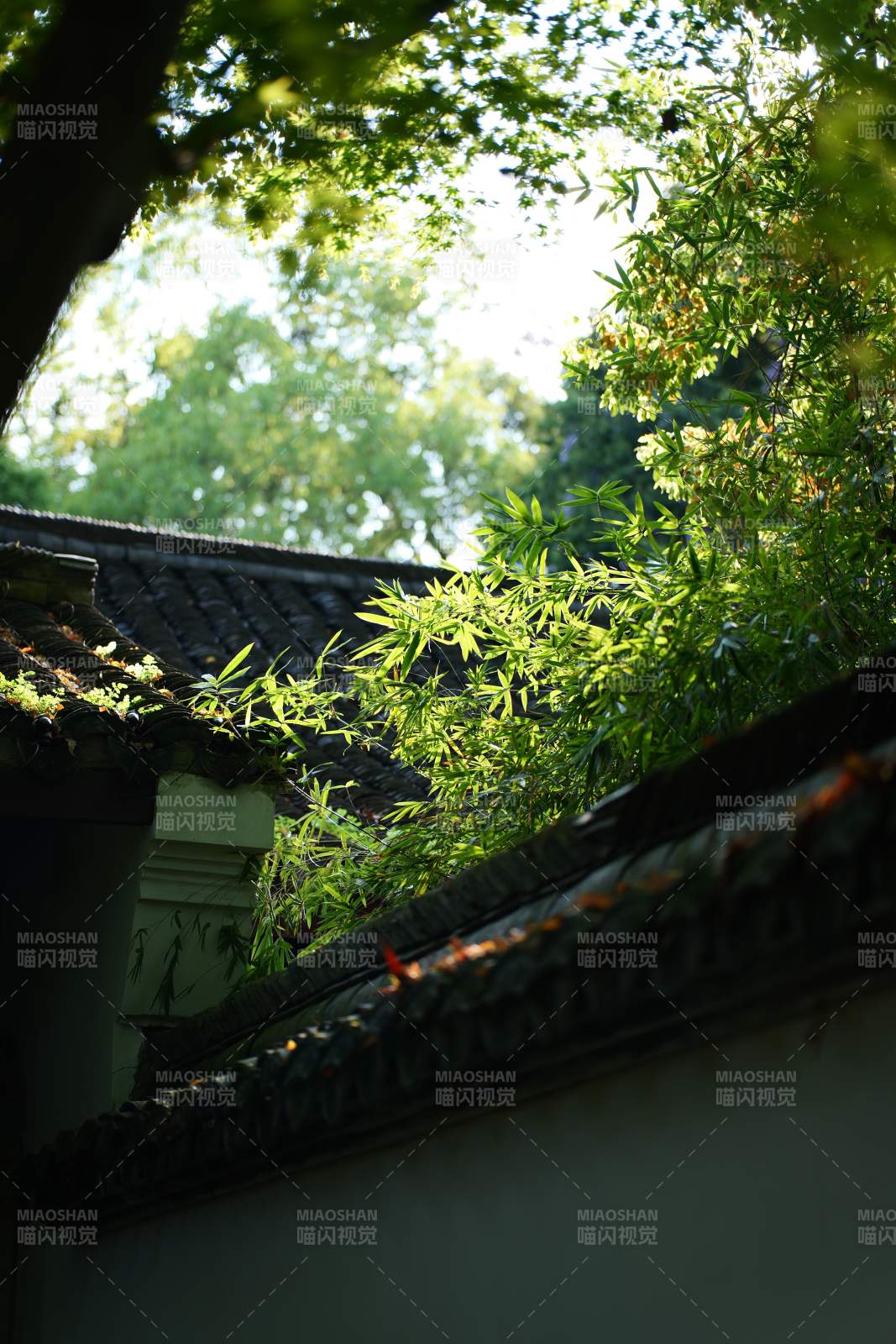 玛瑙寺绿意盎然的瓦顶图片